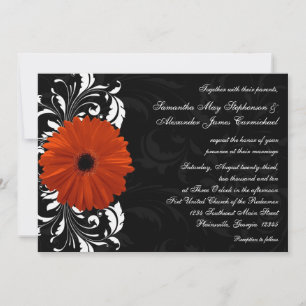 Convites Orange Gerbera Daisy com rolagem de preto e branco