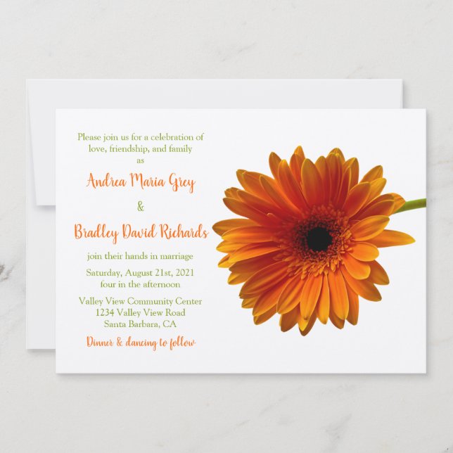 Convites Orange Gerbera Daisy Flower Invitation (Frente)