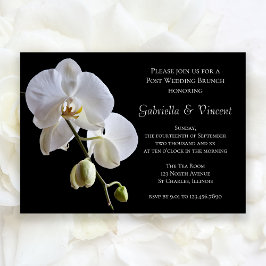 Convites Orquídea Branca em Brunch de Pós-Casamento em Post