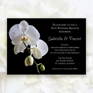 Convites Orquídea Branca em Brunch de Pós-Casamento em Post