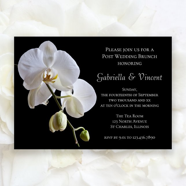 Convites Orquídea Branca em Brunch de Pós-Casamento em Post (Criador carregado)
