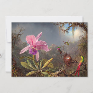 Convites Orquídea Cattleya e três beija-flores por Heade
