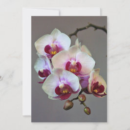 Convites Orquídea diminuta