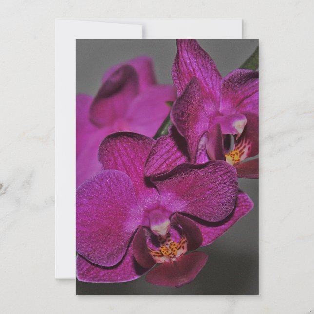 Convites Orquídea roxa (Frente)