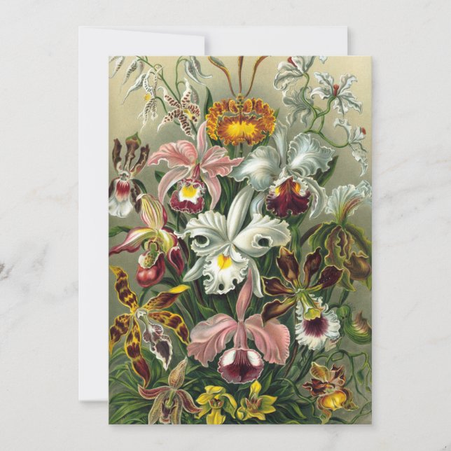Convites Orquídeas Ernst Haeckel, Flores Vintage da Florest (Frente)