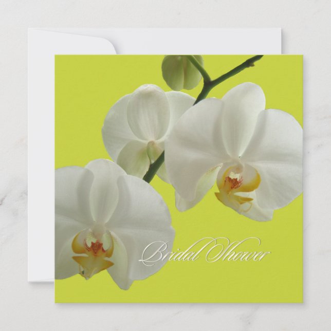 Convites Orquídeas PixDezines/falenopse (Frente)