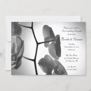 Convites Orquídeas sobre o Posto Stem Wedding Brunch Convit