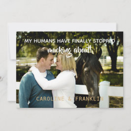 Convites Os Meus Humanos Pararam De Chocar Com O Noivado