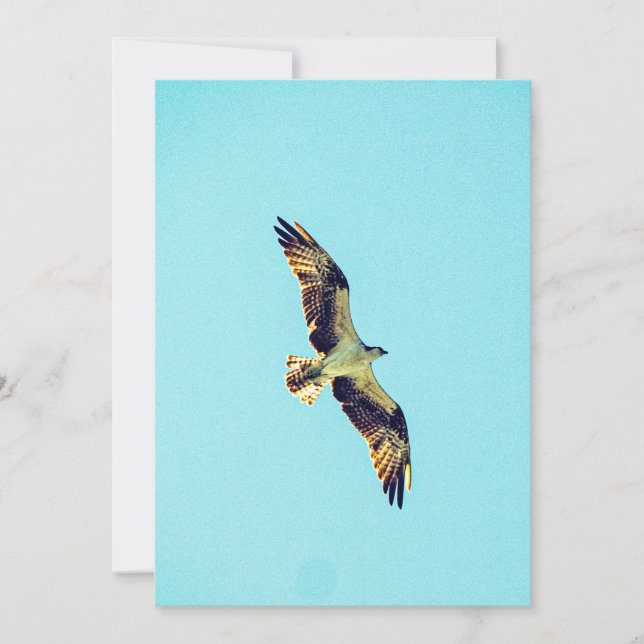 Convites Osprey art (Frente)