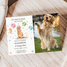 Ouro Retriever Pawy Dog Puppy Birthday Blue