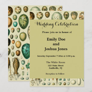 Convites Ovos de Pássaros Antigos Arte de Ovos de Peixe Fra