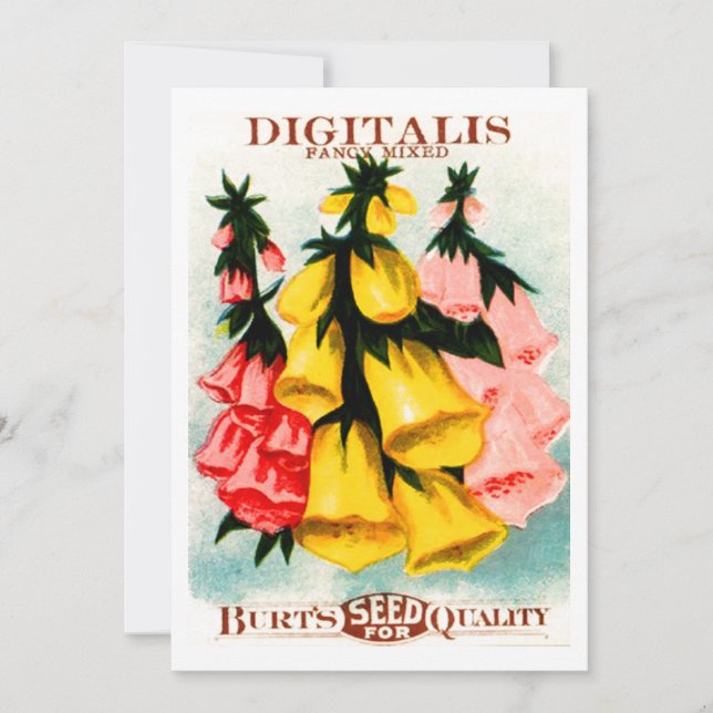 Convites Pacote Assorted da semente do Foxglove da digital (Frente)