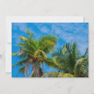 Convites Palmeiras Tropicais e Cocos