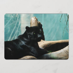 Convites Pantera com Olhos Piercing