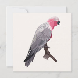 Convites Papagaio rosa desenhado à mão, ave tropical.