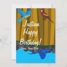 Papagaios Exóticos Na Festa de aniversário Florest