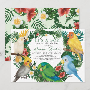 Convites Papagaios Tropicais aves exóticas Churras de Bebê 
