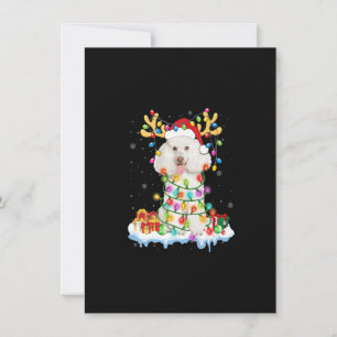 Convites Papais noeis de Poodle Reindet Natal Camisa Engraç