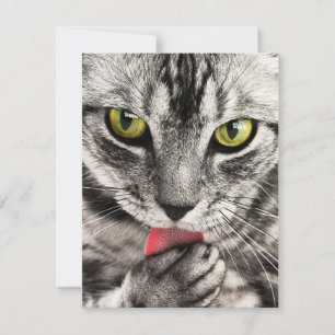 Convites Papelaria Cartões de Saudação Holida