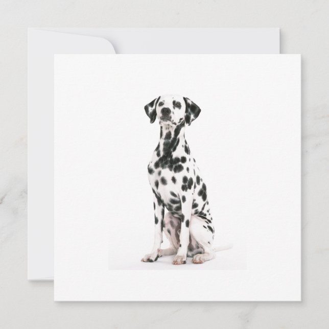 Convites para Cães de Fogo (Frente)