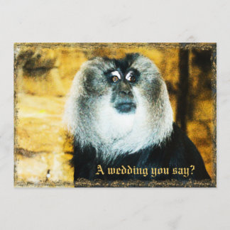 Convites para Casamento de Zoológico de Fotos de M