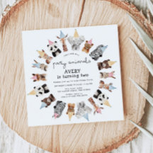 Parceiros Aniversário