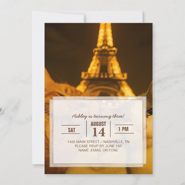 Convites Paris Night Cat Selfie Squad Lover                 (Frente)