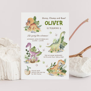 Convites Partido Aniversário de criança do Dinossauro Moder
