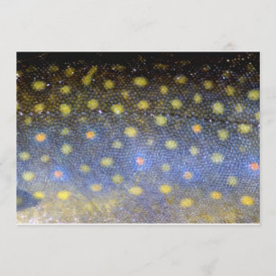 Convites Partido Brook Trout Fish Scales