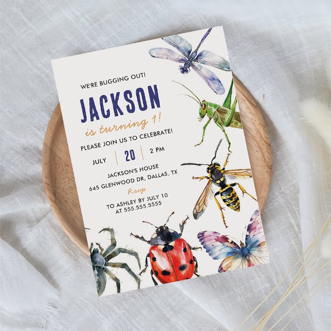 Convites Partido do primeiro aniversario de Insetos da Natu (Criador carregado)