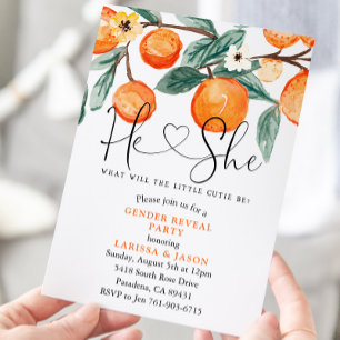 Convites Partido Revelação de Gênero