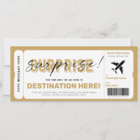Passagem de Embarque de Avião Surpresa com Bilhete