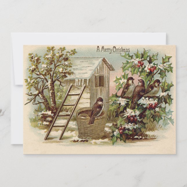 Convites Pássaro de Natal Holly Snow Harvest (Frente)
