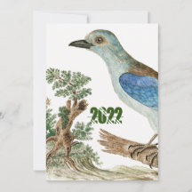 Pássaros Azuis-de-vidro-rolo europeu