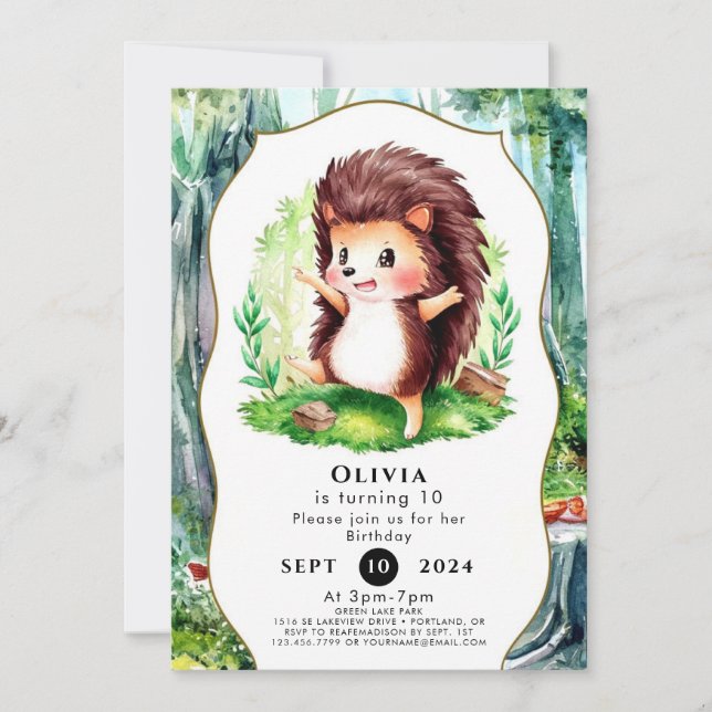 Convites Pastel Magical Hedgehog Aniversário (Frente)