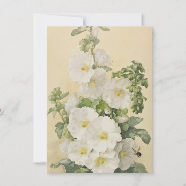 Convites Paul De Longpre - Malvariscos 1901 (Frente)