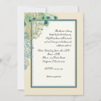 Pavão do vintage, gravura a água-forte das penas n