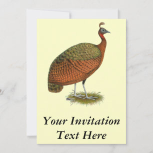 Convites Peafowl do Congo