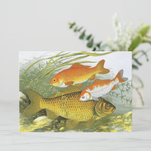 Convites Peixes Koi Goldfish, Vida Marinha Aquática Antiga