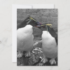 Convites Penguin Colour Splash