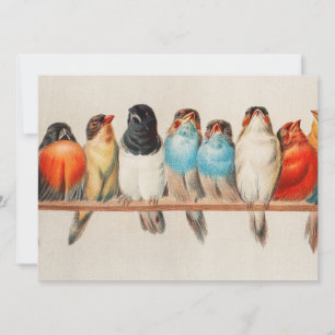 Convites Perch Antiquado de Aves Hector Giacomelli