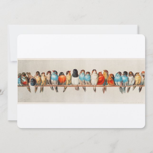 Convites Perch Antiquado de Aves Hector Giacomelli (Frente)