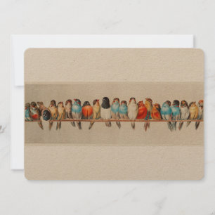 Convites Perch Antiquado de Aves Hector Giacomelli