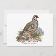 Perdiz-grega, Alectoris Graeca Aves de Caça