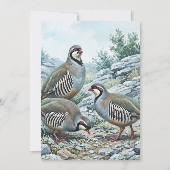 Convites Perdiz-grega, Alectoris Graeca Aves de Caça (Frente)
