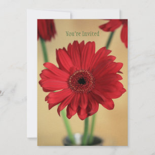 Convites Perfeitamente Bonito