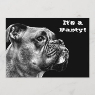 Convites Perfil do cão do pugilista