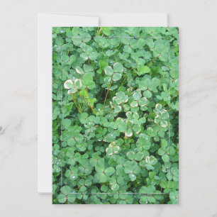 Convites Personalizados para Shamrocks Brancos Ver