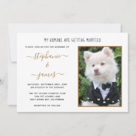 Convites Pet Foto de Casamento com Meus Humanos