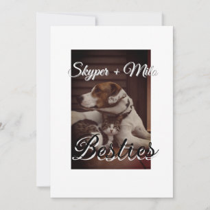 Convites Pet Frities adiciona nome e foto animal amor